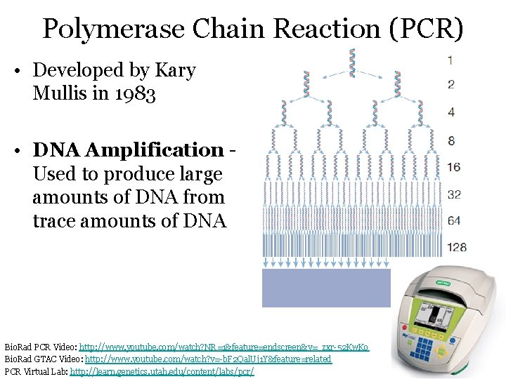 Polymerase Chain Reaction (PCR) • Developed by Kary Mullis in 1983 • DNA Amplification