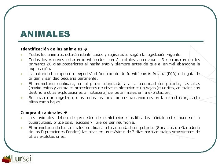 ANIMALES Identificación de los animales l Todos los animales estarán identificados y registrados según