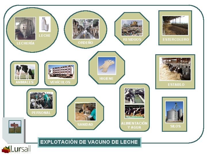 LECHE ANIMALES RESIDUOS ORDEÑO LECHERÍA ESTERCOLERO HIGIENE VEHÍCULOS ESTABLO PERSONAL SANIDAD ALIMENTACIÓN Y AGUA