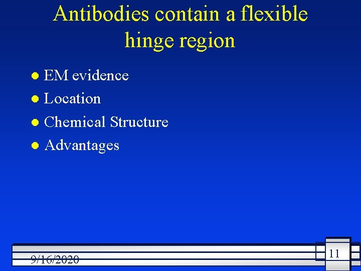 Antibodies contain a flexible hinge region EM evidence l Location l Chemical Structure l