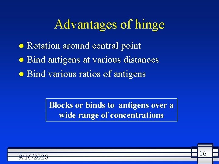 Advantages of hinge Rotation around central point l Bind antigens at various distances l