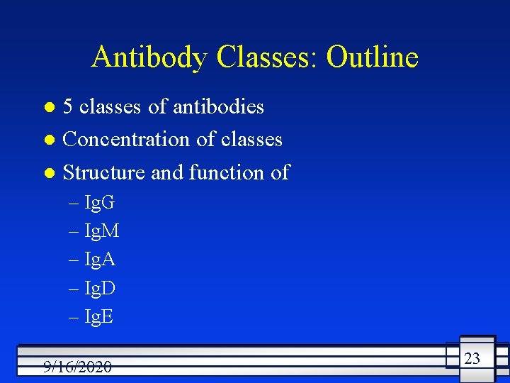 Antibody Classes: Outline 5 classes of antibodies l Concentration of classes l Structure and