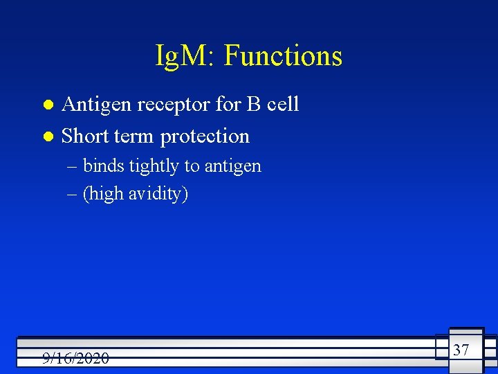 Ig. M: Functions Antigen receptor for B cell l Short term protection l –