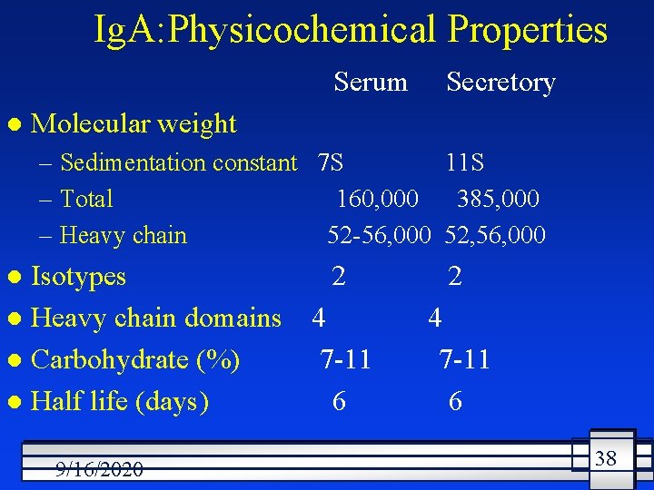Ig. A: Physicochemical Properties Serum l Secretory Molecular weight – Sedimentation constant 7 S