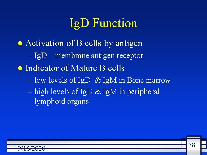 Ig. D Function l Activation of B cells by antigen – Ig. D :