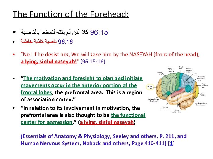 The Function of the Forehead: ● ﺑﺎﻟﻨﺎﺻﻴﺔ ﻟﻨﺴﻔﻌﺎ ﻳﻨﺘﻪ ﻟﻢ ﻟﺌﻦ ﻛﻼ 96: 15