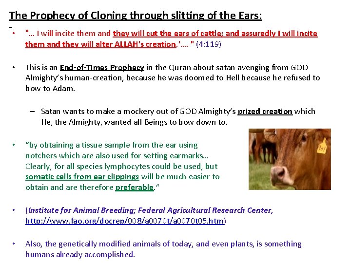 The Prophecy of Cloning through slitting of the Ears: • "… I will incite
