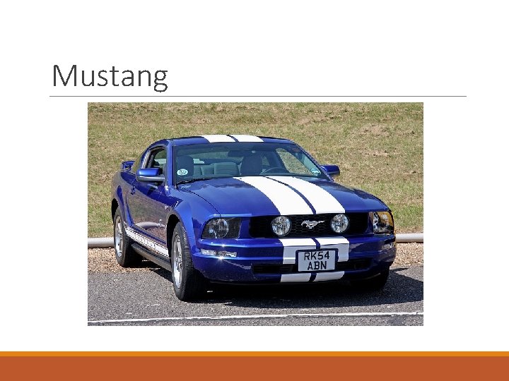 Mustang 