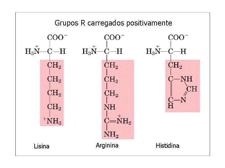 Grupos R carregados positivamente Lisina Arginina Histidina 