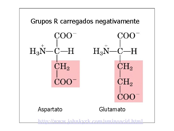 Grupos R carregados negativamente Aspartato Glutamato http: //www. johnkyrk. com/aminoacid. html 