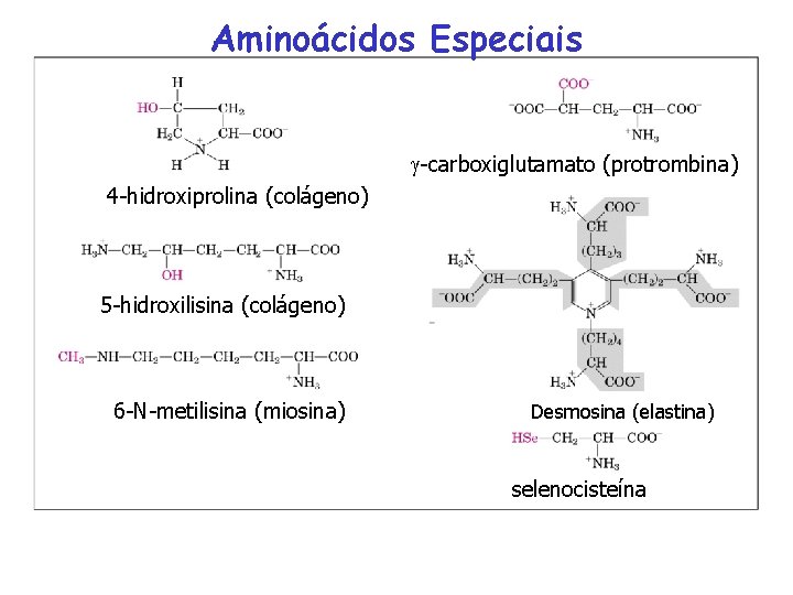 Aminoácidos Especiais -carboxiglutamato (protrombina) 4 -hidroxiprolina (colágeno) 5 -hidroxilisina (colágeno) 6 -N-metilisina (miosina) Desmosina