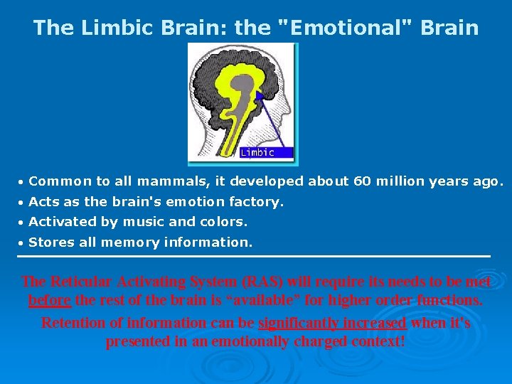 The Limbic Brain: the "Emotional" Brain Common to all mammals, it developed about 60