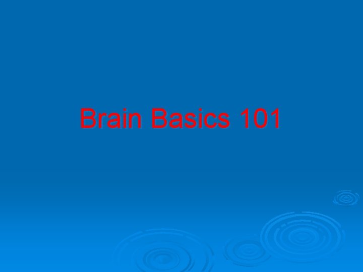 Brain Basics 101 