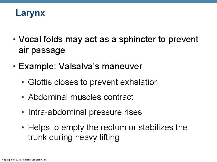 Larynx • Vocal folds may act as a sphincter to prevent air passage •