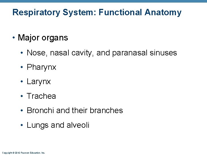 Respiratory System: Functional Anatomy • Major organs • Nose, nasal cavity, and paranasal sinuses