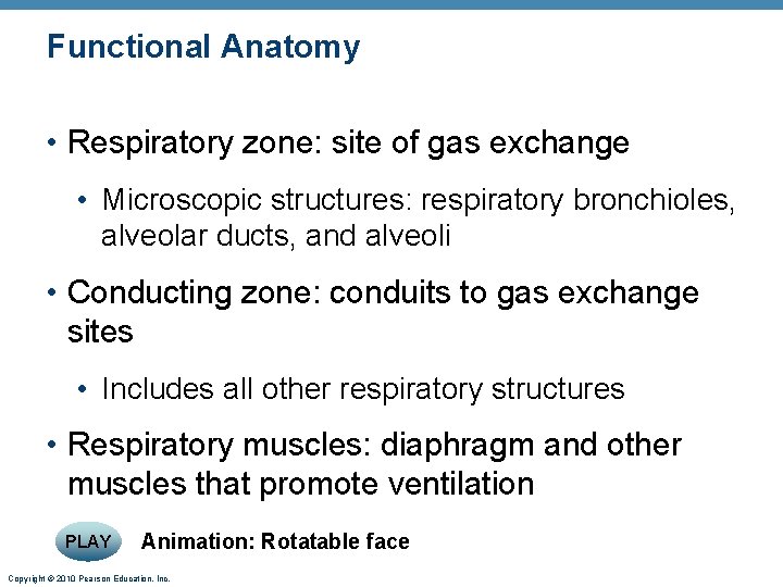 Functional Anatomy • Respiratory zone: site of gas exchange • Microscopic structures: respiratory bronchioles,