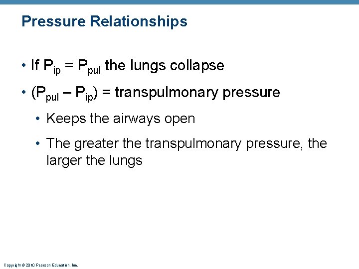 Pressure Relationships • If Pip = Ppul the lungs collapse • (Ppul – Pip)