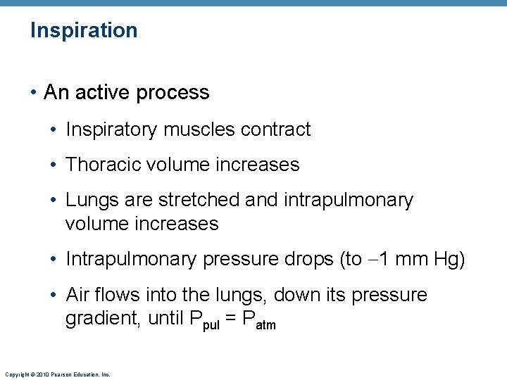 Inspiration • An active process • Inspiratory muscles contract • Thoracic volume increases •
