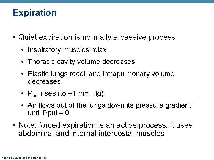 Expiration • Quiet expiration is normally a passive process • Inspiratory muscles relax •