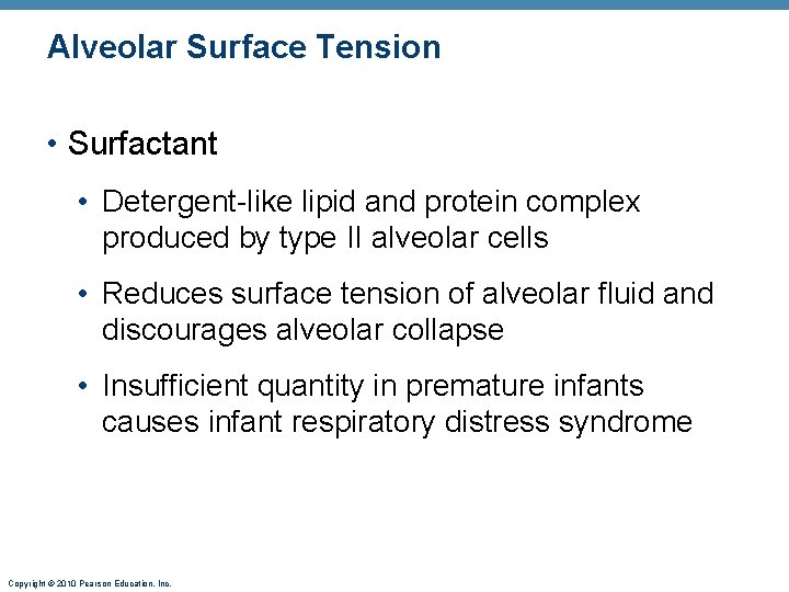 Alveolar Surface Tension • Surfactant • Detergent-like lipid and protein complex produced by type