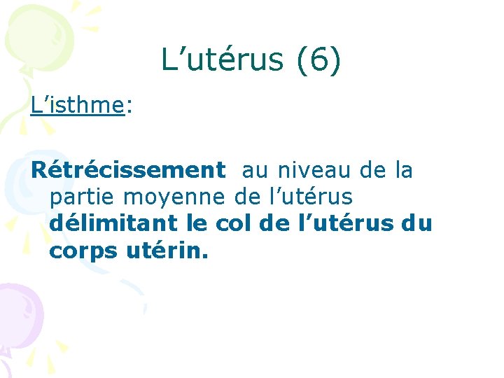 L’utérus (6) L’isthme: Rétrécissement au niveau de la partie moyenne de l’utérus délimitant le