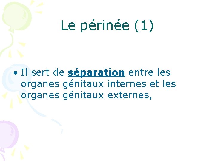 Le périnée (1) • Il sert de séparation entre les organes génitaux internes et