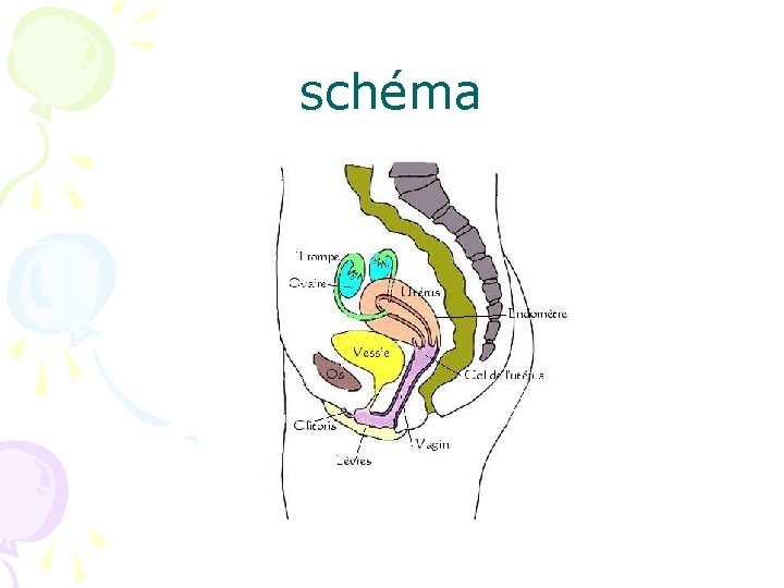 schéma 