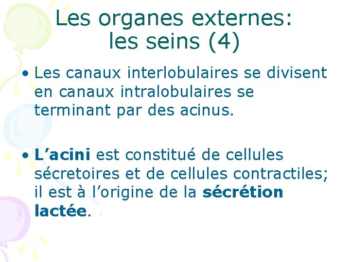 Les organes externes: les seins (4) • Les canaux interlobulaires se divisent en canaux