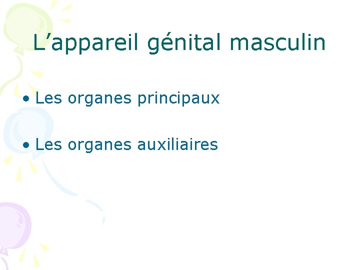 L’appareil génital masculin • Les organes principaux • Les organes auxiliaires 