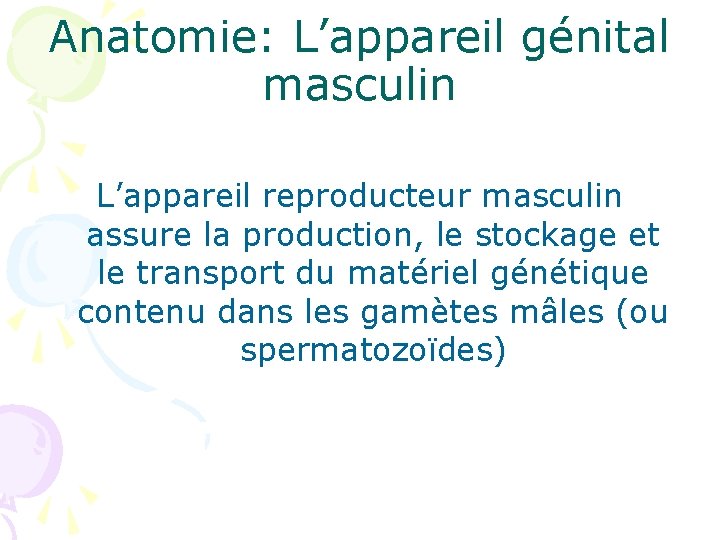 Anatomie: L’appareil génital masculin L’appareil reproducteur masculin assure la production, le stockage et le