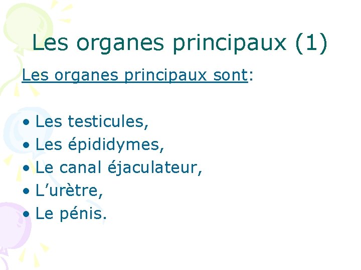 Les organes principaux (1) Les organes principaux sont: • Les testicules, • Les épididymes,