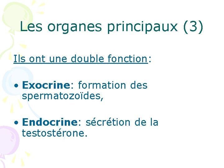 Les organes principaux (3) Ils ont une double fonction: • Exocrine: formation des spermatozoïdes,