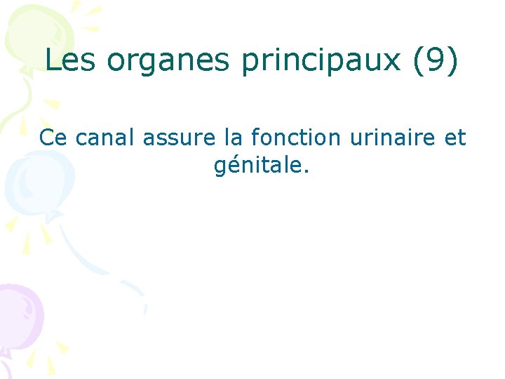 Les organes principaux (9) Ce canal assure la fonction urinaire et génitale. 