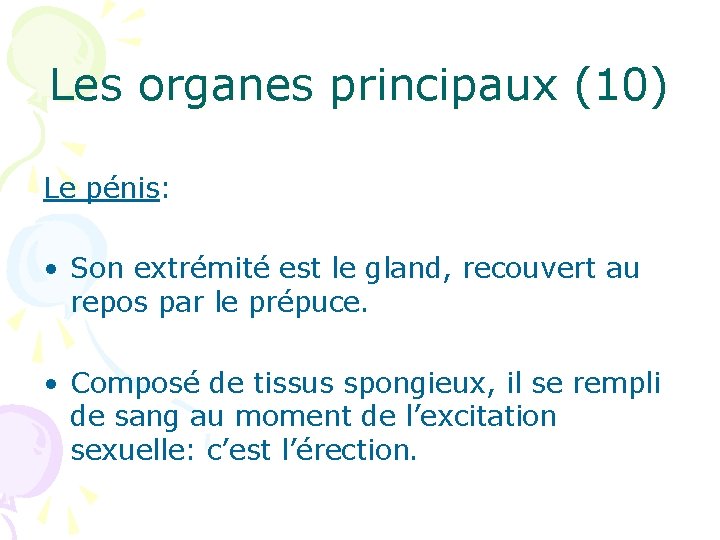 Les organes principaux (10) Le pénis: • Son extrémité est le gland, recouvert au