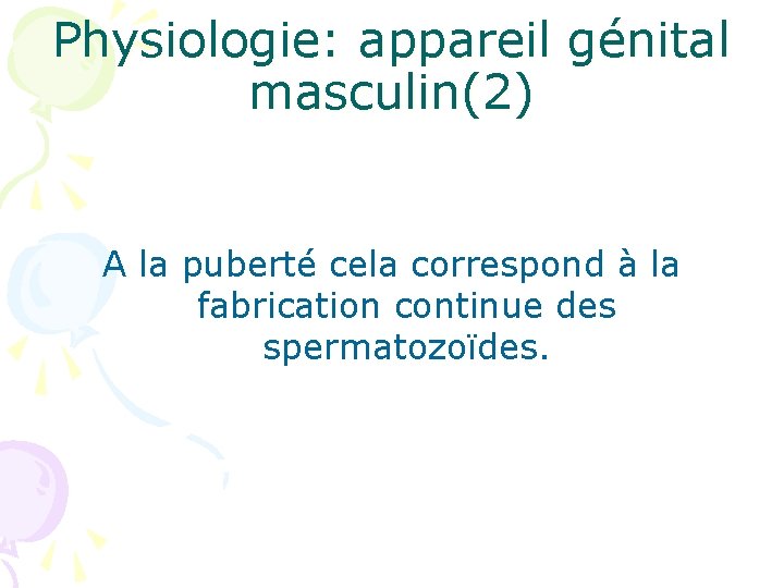 Physiologie: appareil génital masculin(2) A la puberté cela correspond à la fabrication continue des