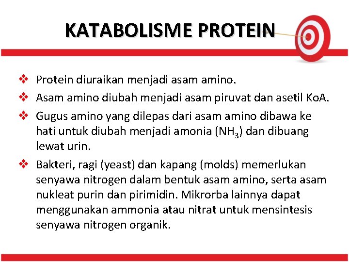 KATABOLISME PROTEIN v Protein diuraikan menjadi asam amino. v Asam amino diubah menjadi asam