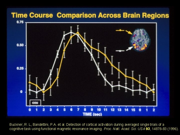 Buckner, R. L, Bandettini, P. A. et al. Detection of cortical activation during averaged