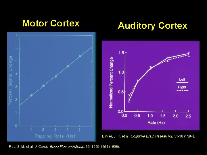 Motor Cortex Auditory Cortex Binder, J. R. et al. Cognitive Brain Research 2, 31