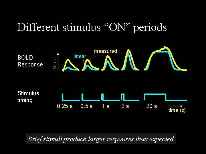 BOLD Response Stimulus timing Signal Different stimulus “ON” periods 0. 25 s linear 0.
