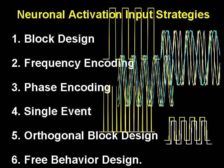 Neuronal Activation Input Strategies 1. Block Design 2. Frequency Encoding 3. Phase Encoding 4.