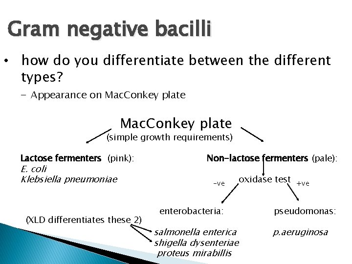 Gram negative bacilli • how do you differentiate between the different types? - Appearance Gram negative bacilli • how do you differentiate between the different types? - Appearance