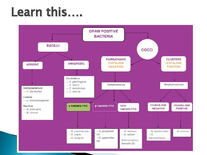 Learn this…. Learn this….