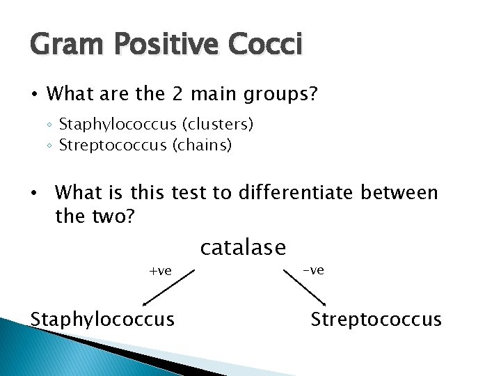 Gram Positive Cocci • What are the 2 main groups? ◦ Staphylococcus (clusters) ◦ Gram Positive Cocci • What are the 2 main groups? ◦ Staphylococcus (clusters) ◦
