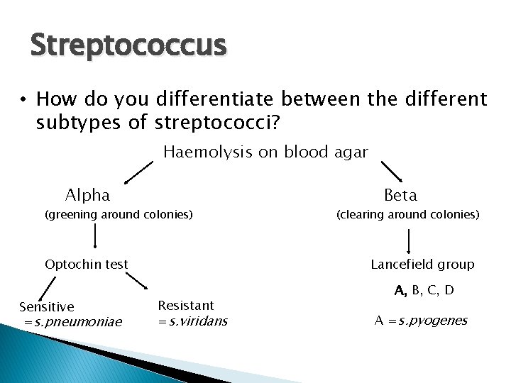 Streptococcus • How do you differentiate between the different subtypes of streptococci? Haemolysis on Streptococcus • How do you differentiate between the different subtypes of streptococci? Haemolysis on