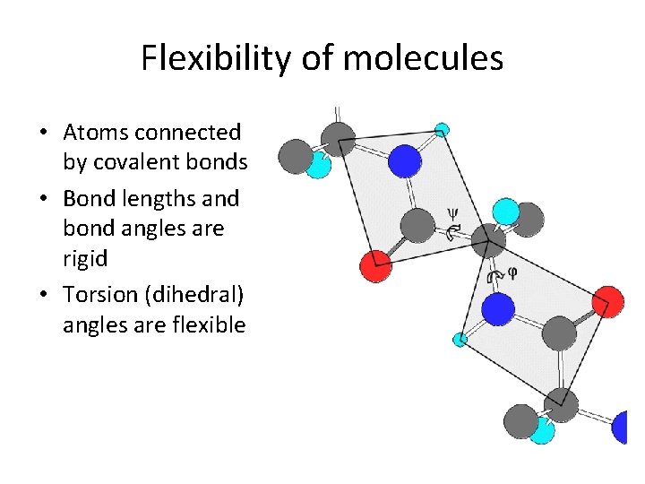 Flexibility of molecules • Atoms connected by covalent bonds • Bond lengths and bond