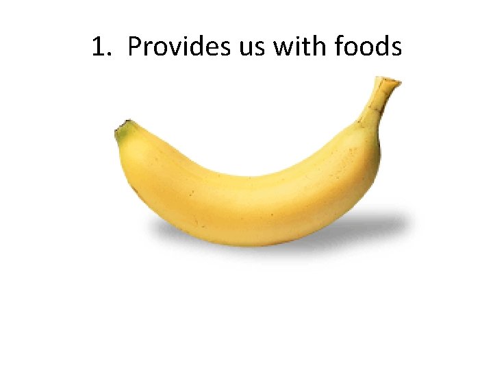 1. Provides us with foods 