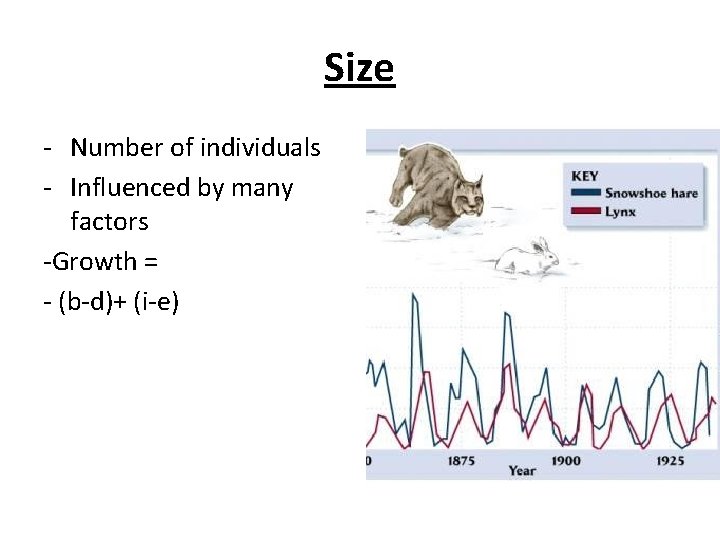 Size - Number of individuals - Influenced by many factors -Growth = - (b-d)+