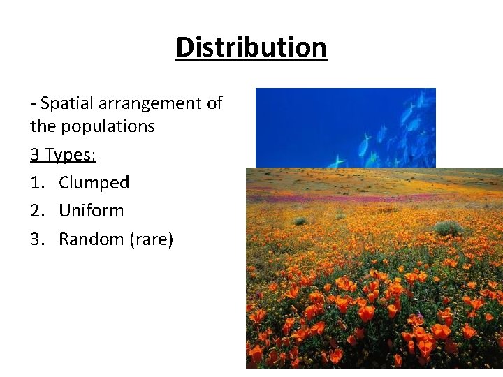 Distribution - Spatial arrangement of the populations 3 Types: 1. Clumped 2. Uniform 3.