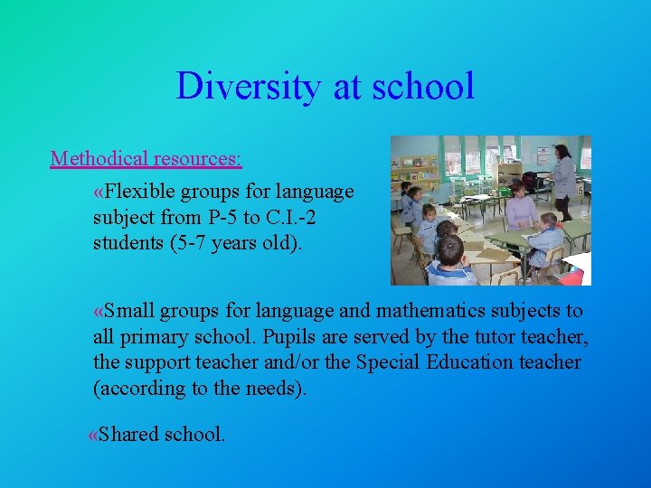 Diversity at school Methodical resources: «Flexible groups for language subject from P-5 to C.