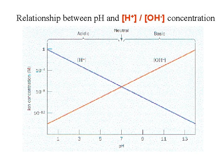 Relationship between p. H and [H+] / [OH-] concentration 